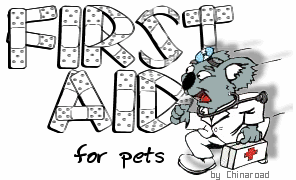 First Aid for Pets