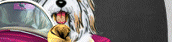 Click here to enter Chinaroad