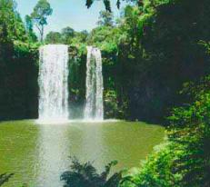 Dangar Falls, Northern New South Wales