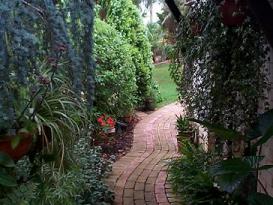 Path leading up to the shed at the back of the house