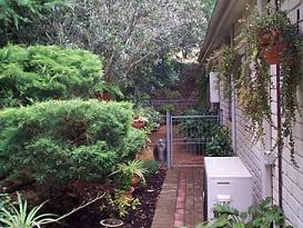 The baby puppy playground area at the left hand side of the house.