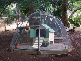"Poultry Palace" - proposed home to Chinese Silky Bantams