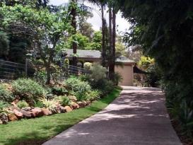 Driveway up to house