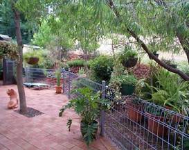 Puppy yard