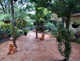 Puppy yard