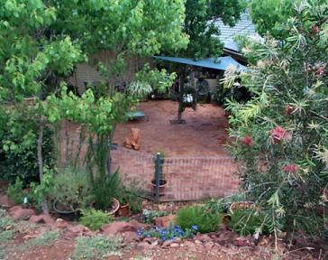 Looking down into the puppy yard from exercise hill