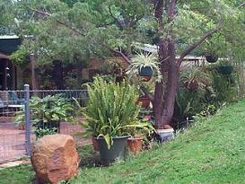 Pictured looking into the puppy yard from the excercise hill