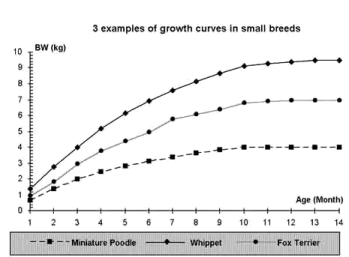 Dog Maturity Chart