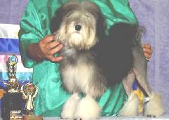 ELGUARDA CAPT STARLITE - Best Baby Puppy In Show