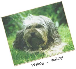 Waiting.........waiting !!!