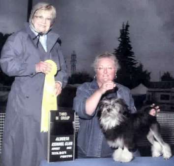 Jammer, owned & exhibited by Lenore Gish wins Best of Breed and Group 3rd