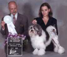Am. Ch. Kijis Its My Parti At Wildheart - Winners Dog pictured here gaining his US Ch title. Owned by Kim Schmidt