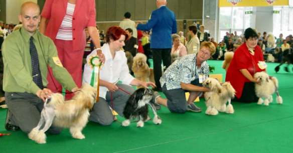 Concentrating at the World Show 2002 in Amsterdam