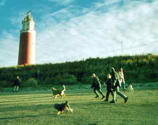 Ans & Peter Duits holidaying in Texel with their dogs & friends.