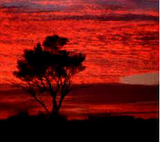 A typical evening in Alice Springs, Northern Territory