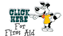 Click here for Canine First Aid help!