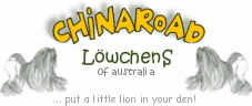 Put a little lion in your den!
