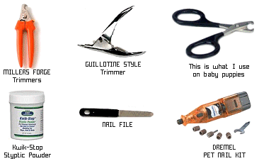 dog nail tool