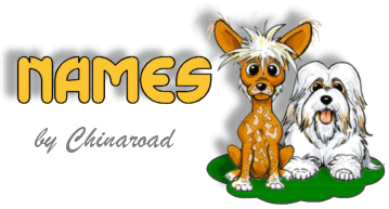 Thousands Of Names For Your Dog Horse Cat Pet Or Child From
