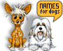 Need a great name for your puppy or pet? Click here for thousands of names!