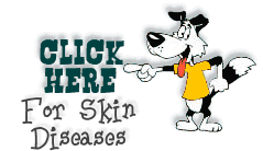 Click here for Canine Skin Diseases & Care
