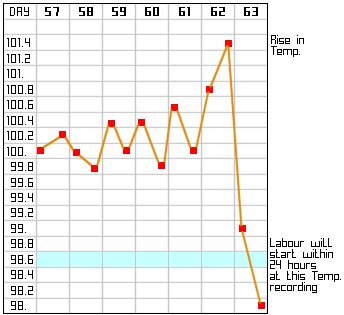 Debbie Jensen Temperature Chart