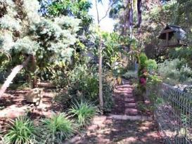 Side yard