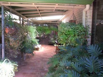 The side yard leading into the dogs room