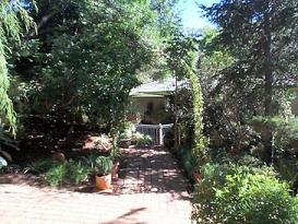 Side yard