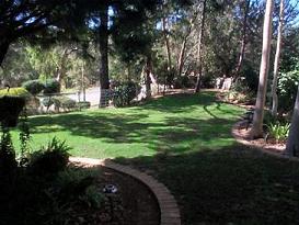 Front yard