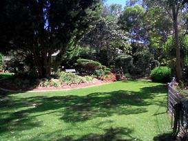 Front yard