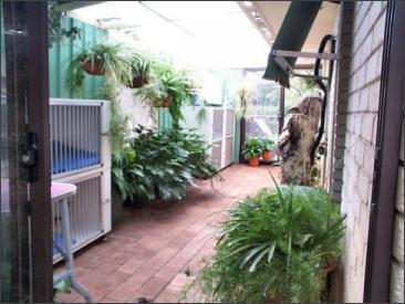Dogs bedroom - all solid wooden crates with aluminium bars & fixed water bowls