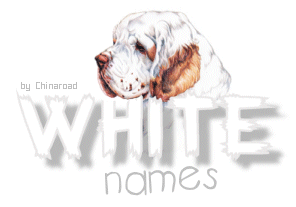 WHITE NAMES by Chinaroad