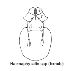 source: Cooley RA (1938, 1946) and Cooley and Kohls (1944a, 1944b, 1945) 