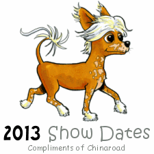 2013 Dog Conformation Show Dates in Australia